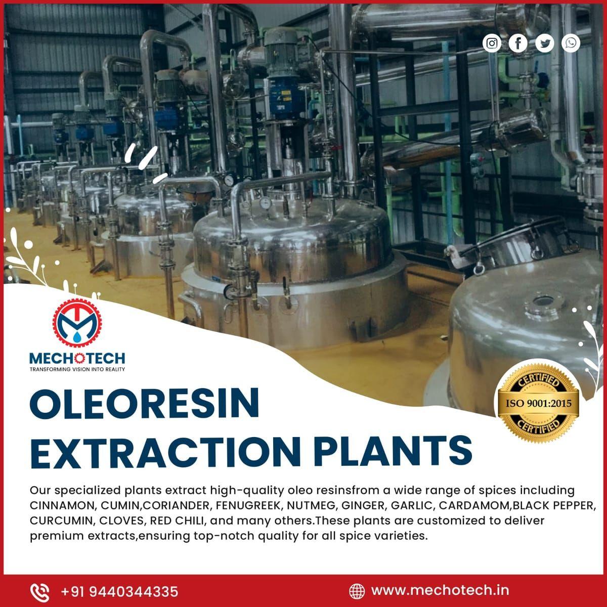Beyond the Spice — The Wonders of Cinnamon Oleoresin