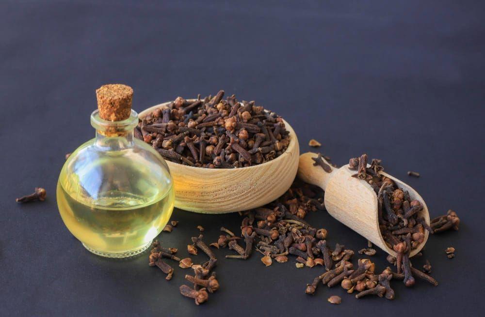 Clove