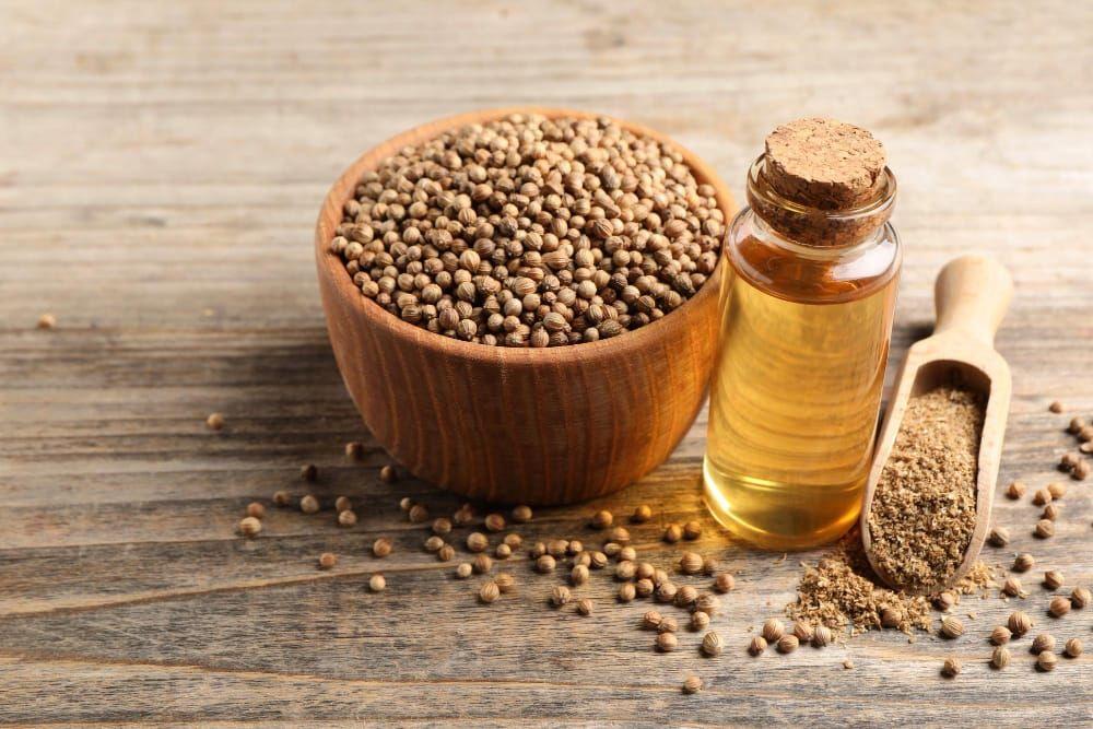 Coriander