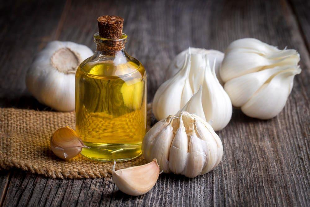 Garlic